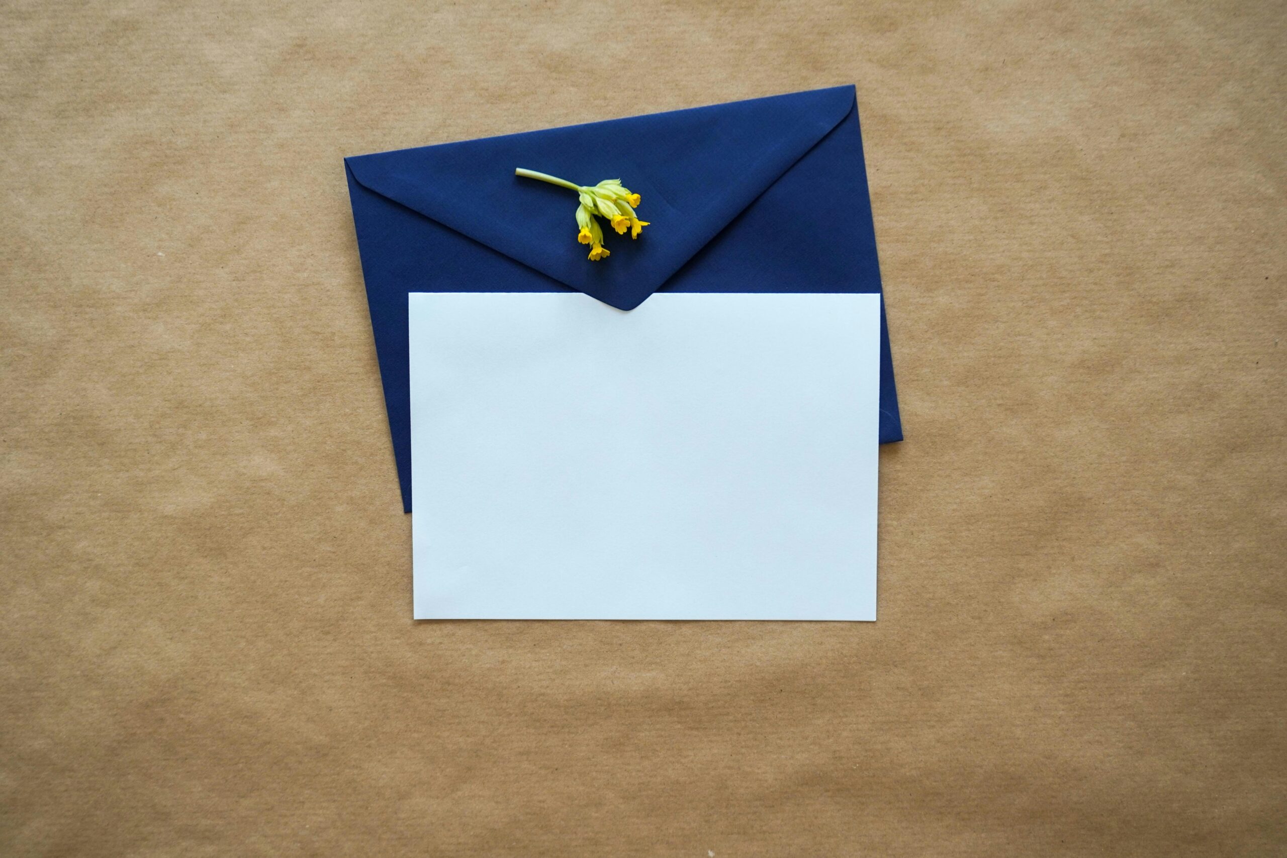 Diagram showing how phishing attacks enter via emails