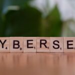 Ransomware Threat Reports: Navigating the Cybersecurity Challenges of 2024