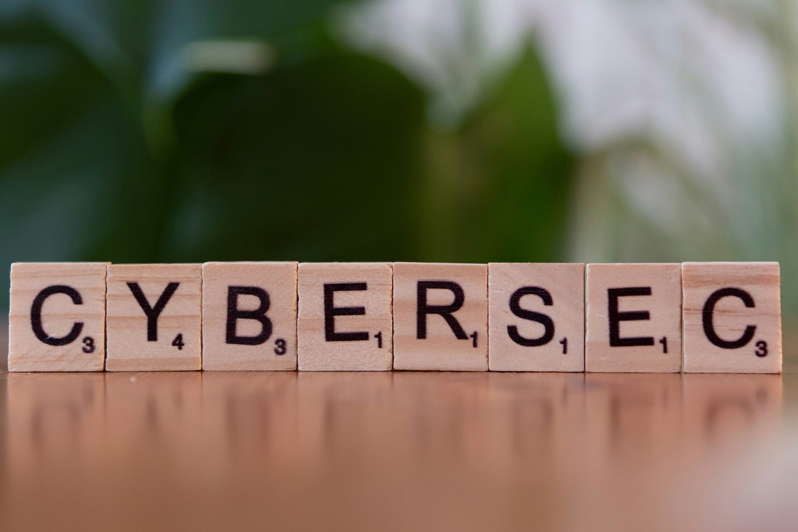 Ransomware Threat Reports: Navigating the Cybersecurity Challenges of 2024