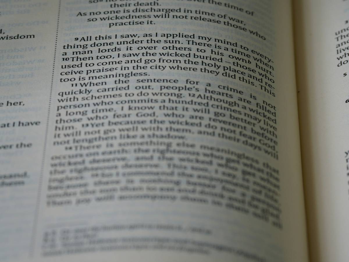 Flowchart illustrating vulnerability scanning lifecycle